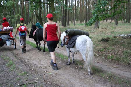 Gestütsweg2008 045