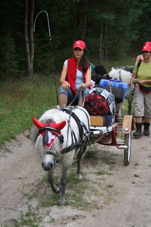 Gestütsweg2008 049