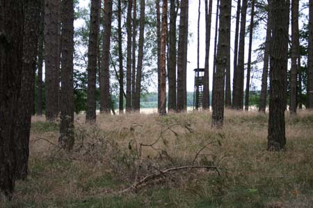 Gestütsweg2008 051