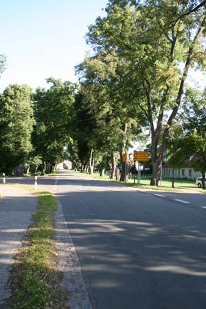 Gestütsweg2008 061