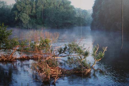 Gestütsweg2008 088