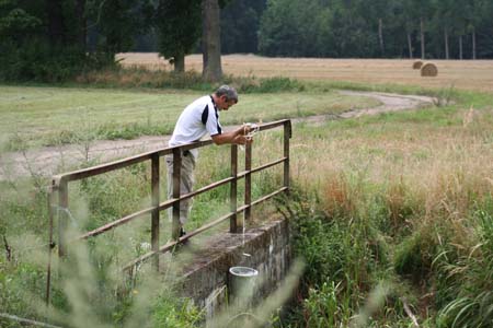 Gestütsweg2008 138